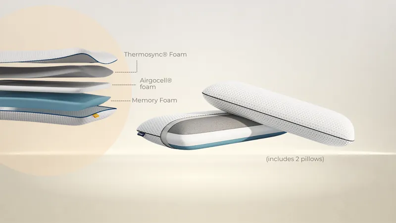 Emma Cooling Premium Foam Pillow (Set of 2)